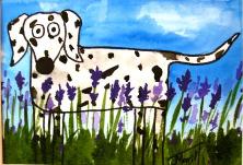 222_Dalmation