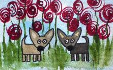 222_lollipop_chihuahuas